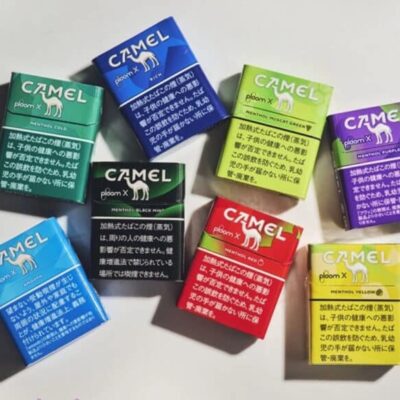 CAMEL駱駝